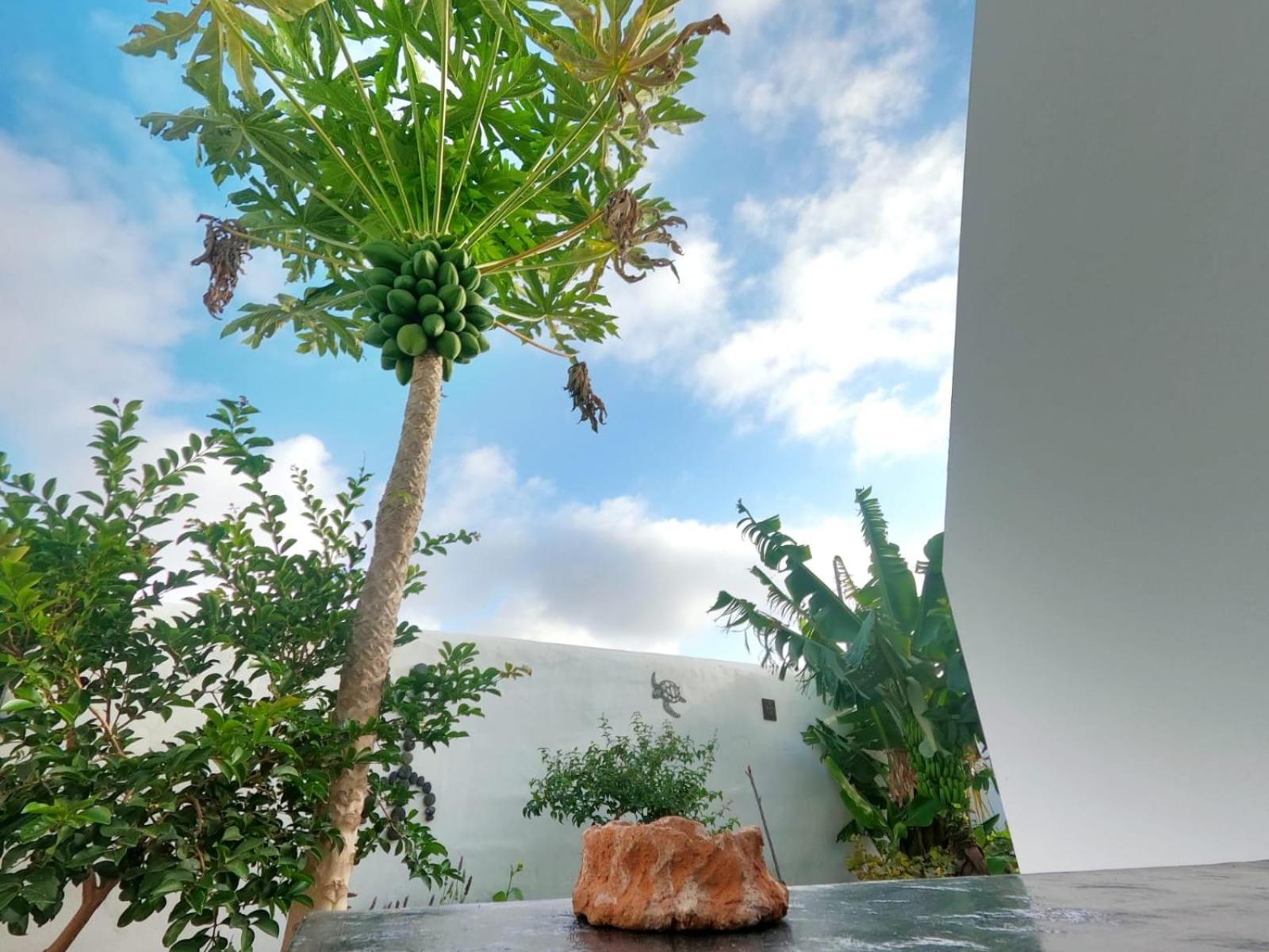 Jardin Del Mar Apartment Tinajo Bagian luar foto
